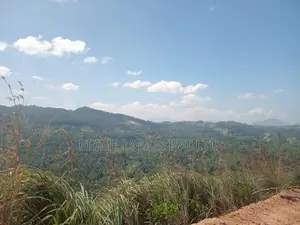 Land for Sale in Nilambe