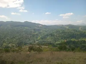 Land for Sale in Nilambe