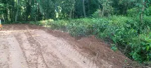 Land for Sale Gangoda Pilimathalawa