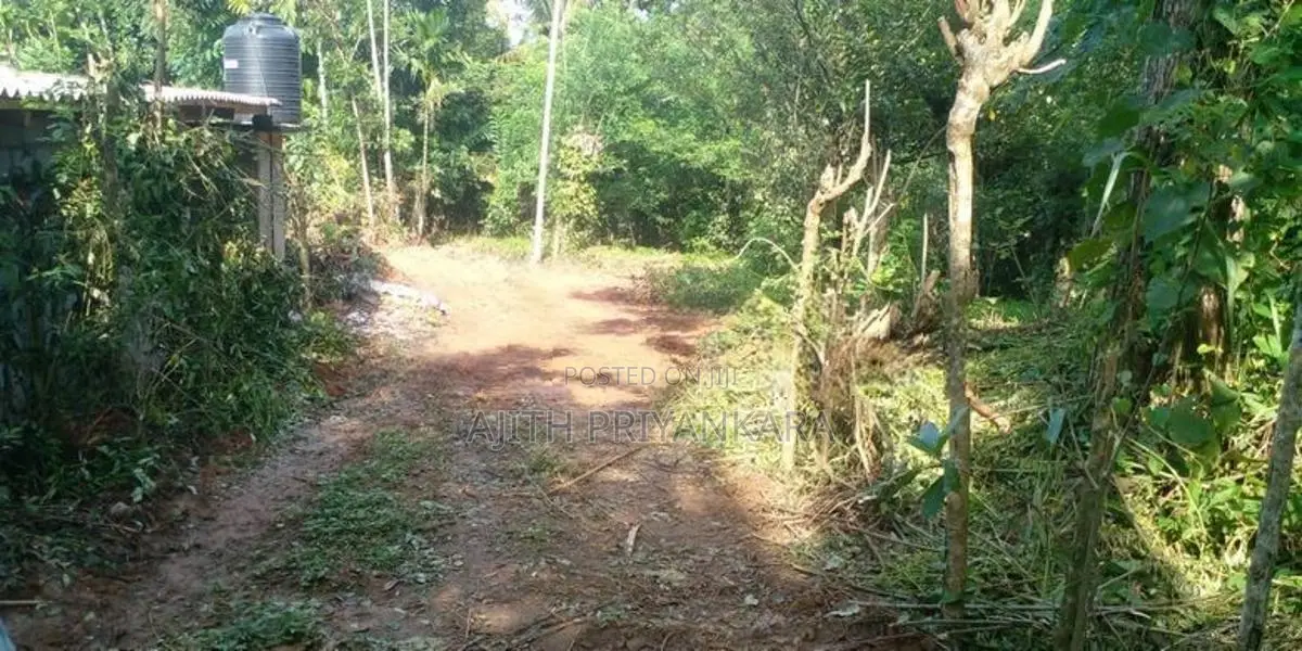 Land for Sale Gangoda Pilimathalawa
