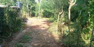 Land for Sale Gangoda Pilimathalawa