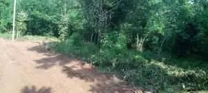 Land for Sale Gangoda Pilimathalawa