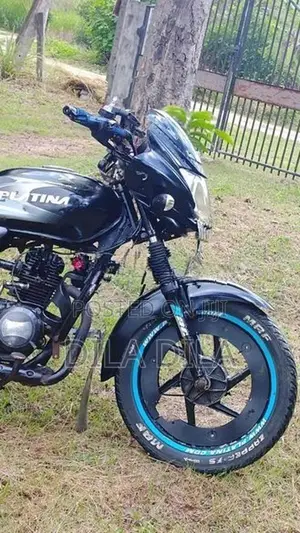 Bajaj Platina 2010