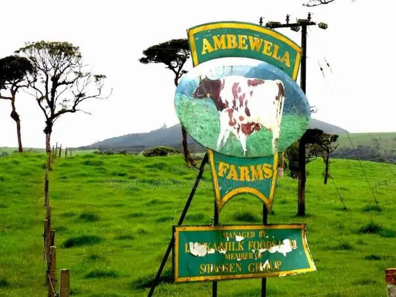 Lands for sale in Ambewela