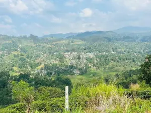 Lands for Sale in Pussellawa