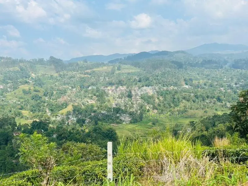Lands for Sale in Pussellawa
