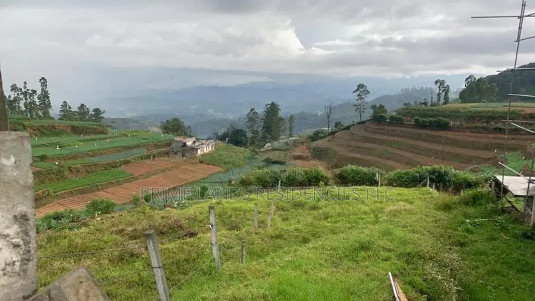 Lands for sale in Ambewela