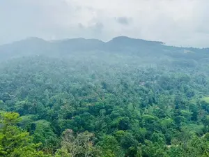 Lands for sale in Nillamba