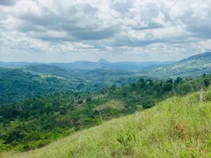 Lands for sale in Nillamba