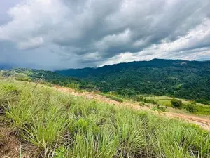 Lands for sale in Nillamba