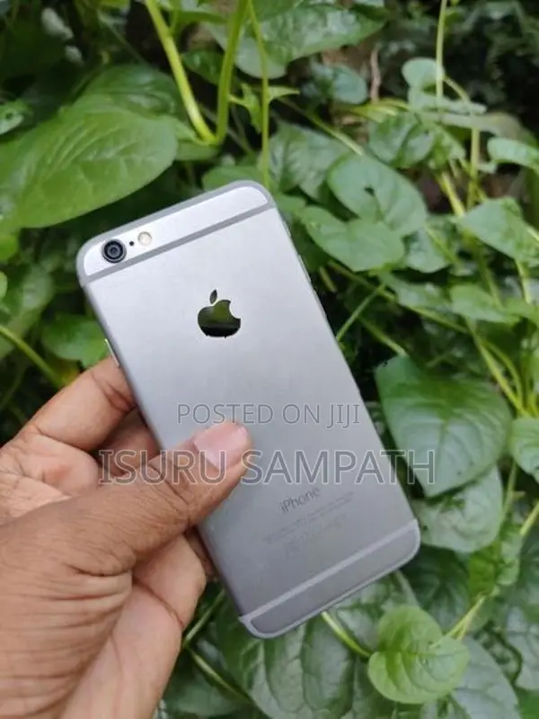 Apple iPhone 6 64GB (Used)