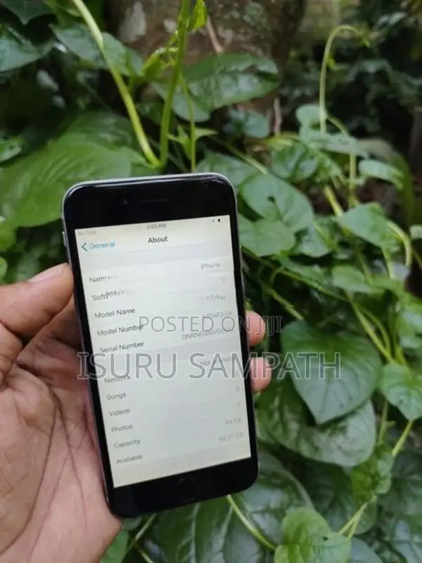 Apple iPhone 6 64GB (Used)