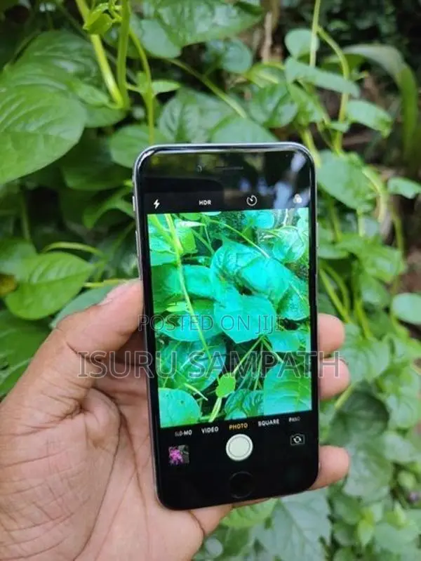 Apple iPhone 6 64GB (Used)