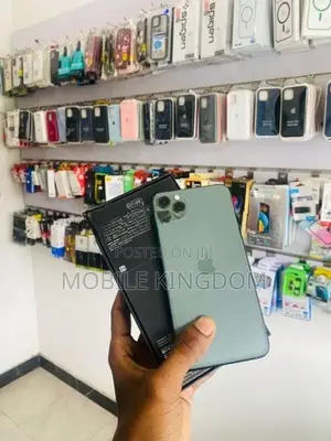 Apple iPhone 11 Pro Max 256GB Green (Used)