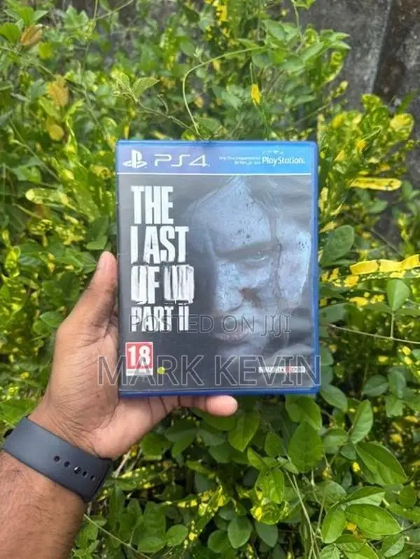 PS4 Game Bundle