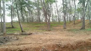 Land for Sale in Ahangama Tourism Area