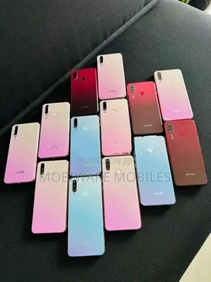 Vivo Y17 8GB 256GB (Used)