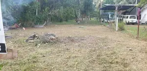 Land for Sale in Seeduwa