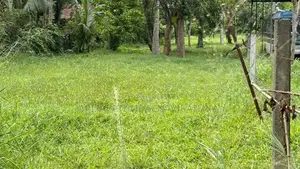 Land for Sale in Seeduwa