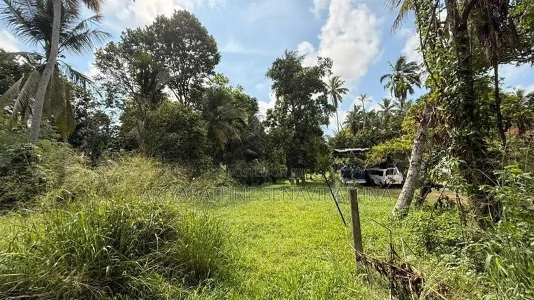 Land for Sale in Seeduwa