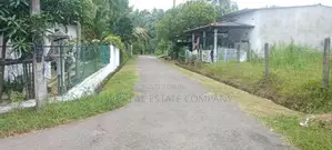 Palatota Land