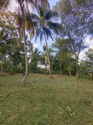 Residential Land for Sale Kadawatha කඩවත