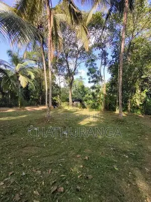Residential Land for Sale Kadawatha කඩවත