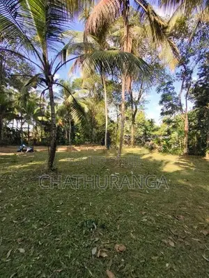 Residential Land for Sale Kadawatha කඩවත