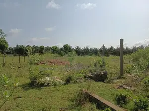 Land for Sale Kilinochi