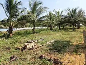 Land for Sale Kilinochi