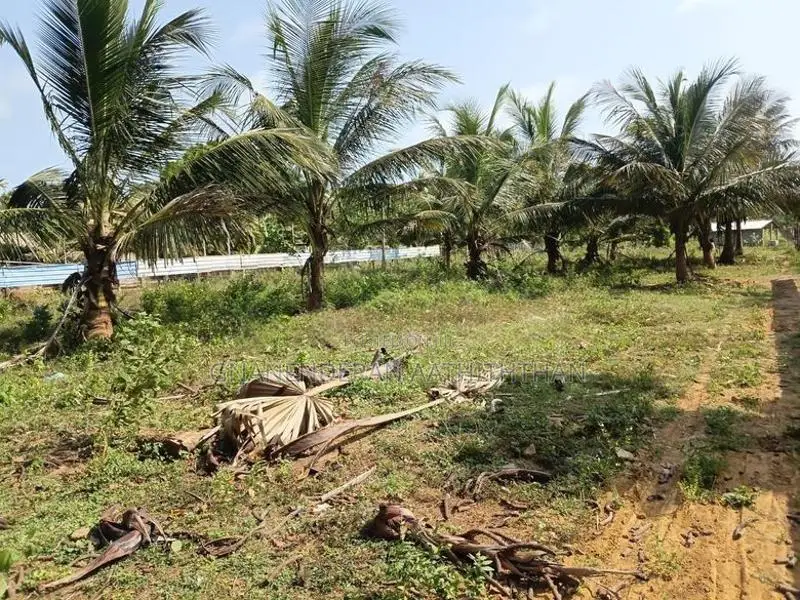 Land for Sale Kilinochi