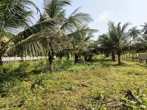 Land for Sale Kilinochi