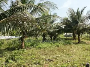 Land for Sale Kilinochi