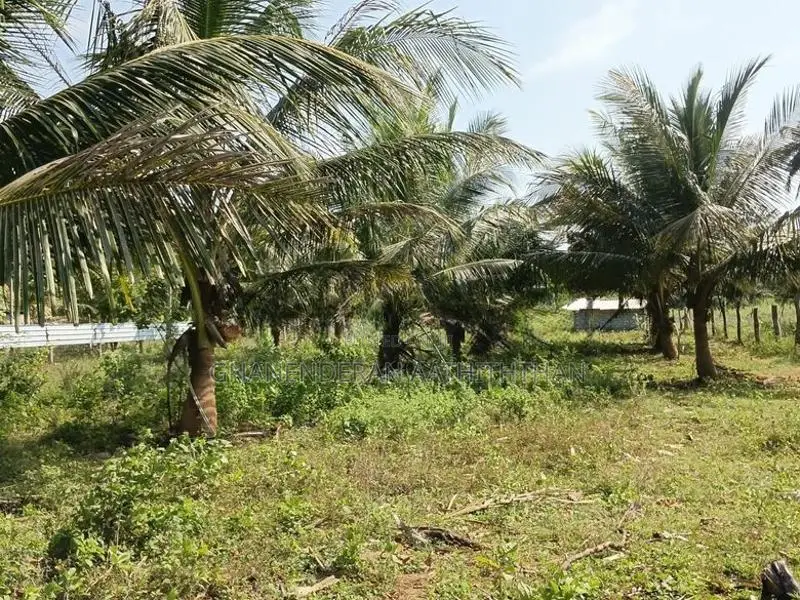 Land for Sale Kilinochi