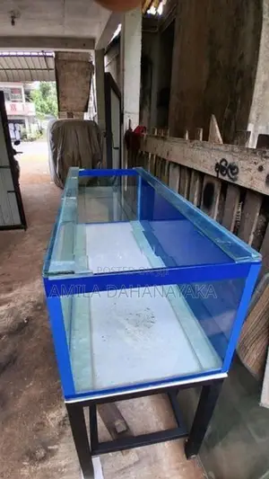 5ft fish tank