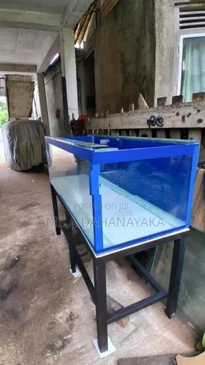 5ft fish tank