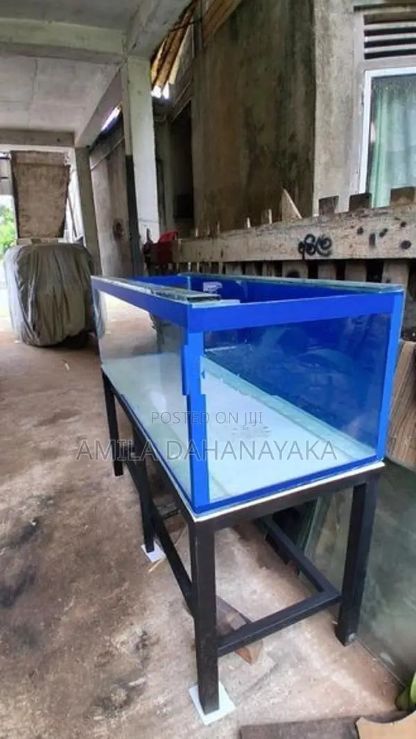 5ft fish tank