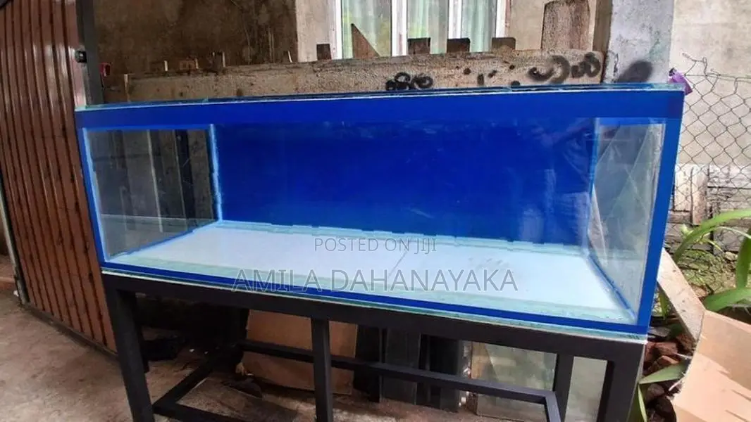 5ft fish tank