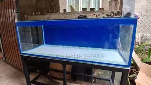 5ft fish tank