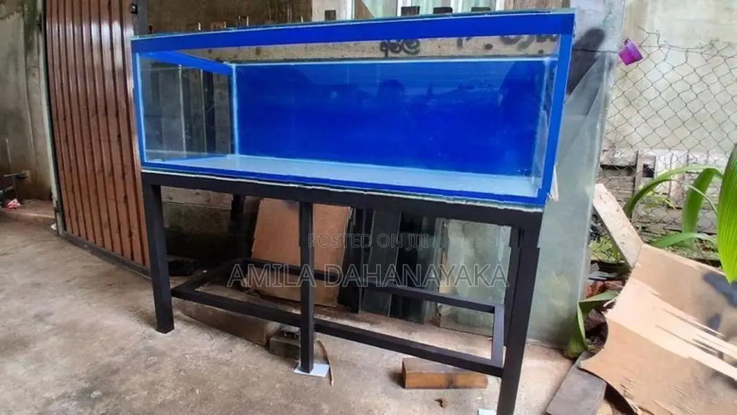 5ft fish tank