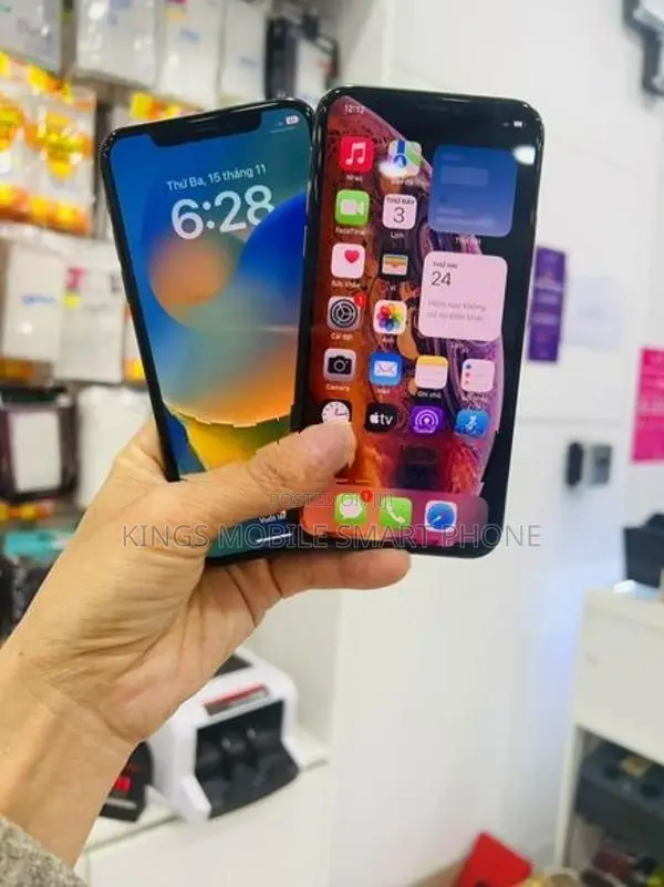 Apple iPhone XS 256GB (Used)