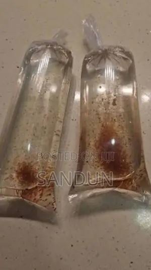 Daphnia Fish Food
