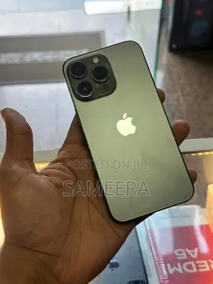 Apple iPhone 13 Pro 256 (Used)