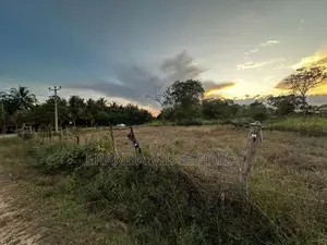 Land for Sale in Thanamalwila | තණමල්විලින් අගනා ඉඩමක් වහාම විකිණීමට