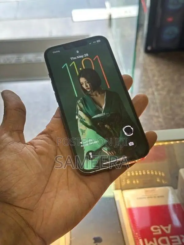 Apple iPhone 13 Pro 256 (Used)