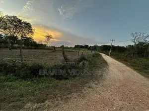 Land for Sale in Thanamalwila | තණමල්විලින් අගනා ඉඩමක් වහාම විකිණීමට