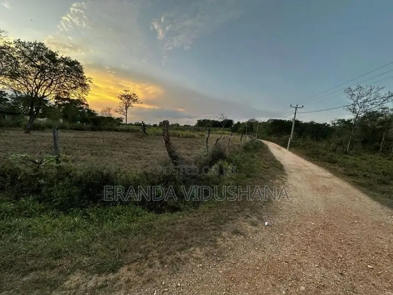 Land for Sale in Thanamalwila | තණමල්විලින් අගනා ඉඩමක් වහාම විකිණීමට