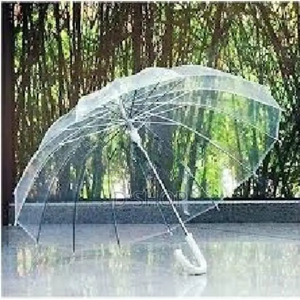 Transparent Umbrella - White