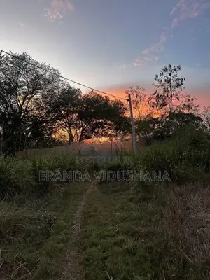 Land for Sale in Thanamalwila | තණමල්විලින් අගනා ඉඩමක් වහාම විකිණීමට