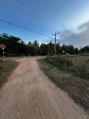 Land for Sale in Thanamalwila | තණමල්විලින් අගනා ඉඩමක් වහාම විකිණීමට